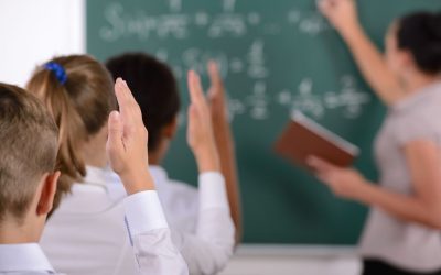 Comment La Nature Peut Éradiquer Le Décrochage Scolaire