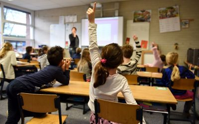 Quand les Forêts Deviennent des Salles de Classe : Miracle ou Mirage ?