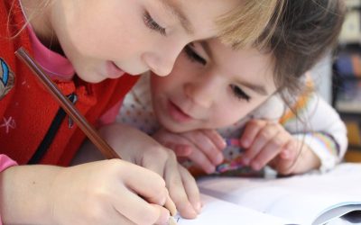 Survivre à la Jungle Éducationnelle avec les Enseignements de la Nature